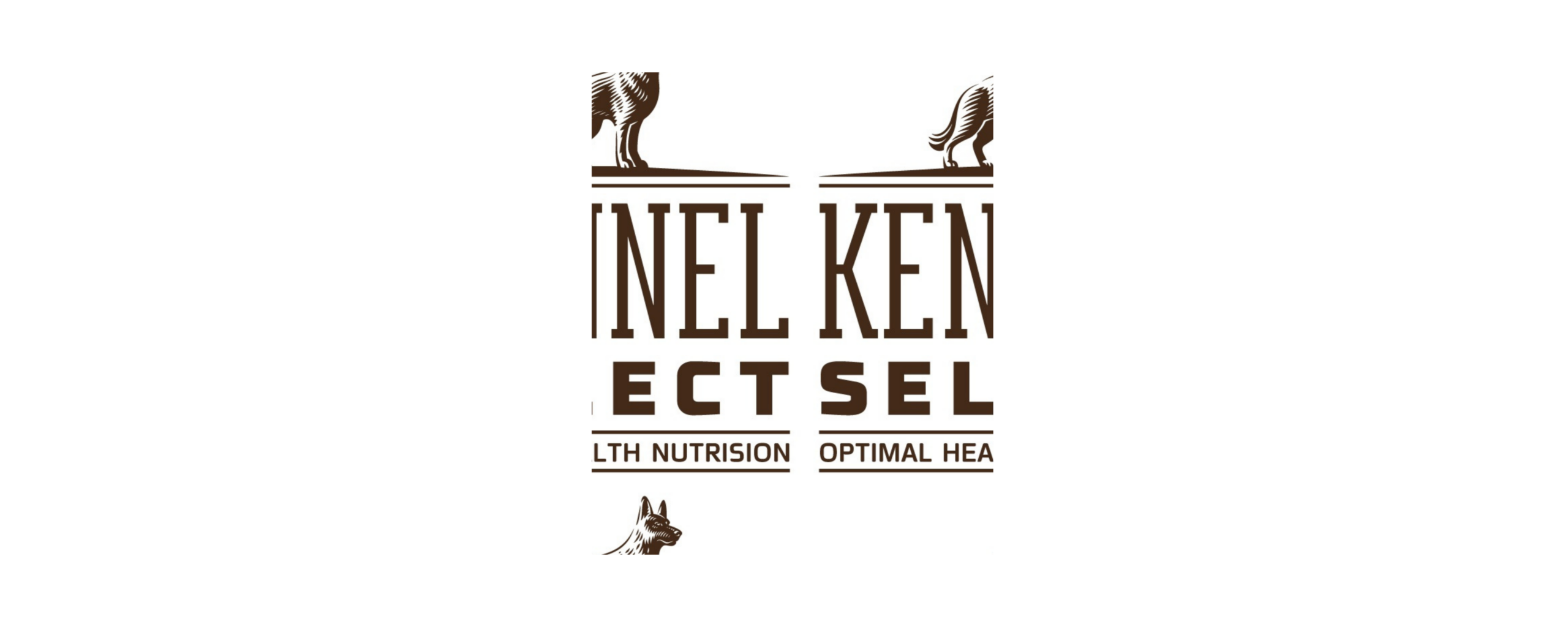 לוגו קאנל סלקט