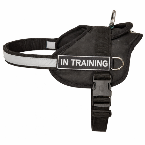 רתמה משטרתית עם פס זוהר מידה M לכלב