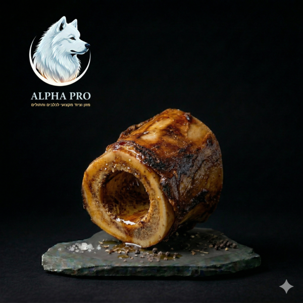 עצם מח בקר מיני מיובשת - צינור