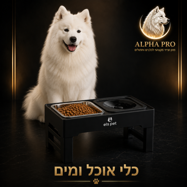 כלי מזון ושתיה - כלבים