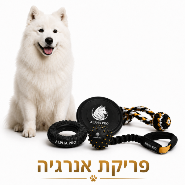 משחקים לפריקת אנרגיה